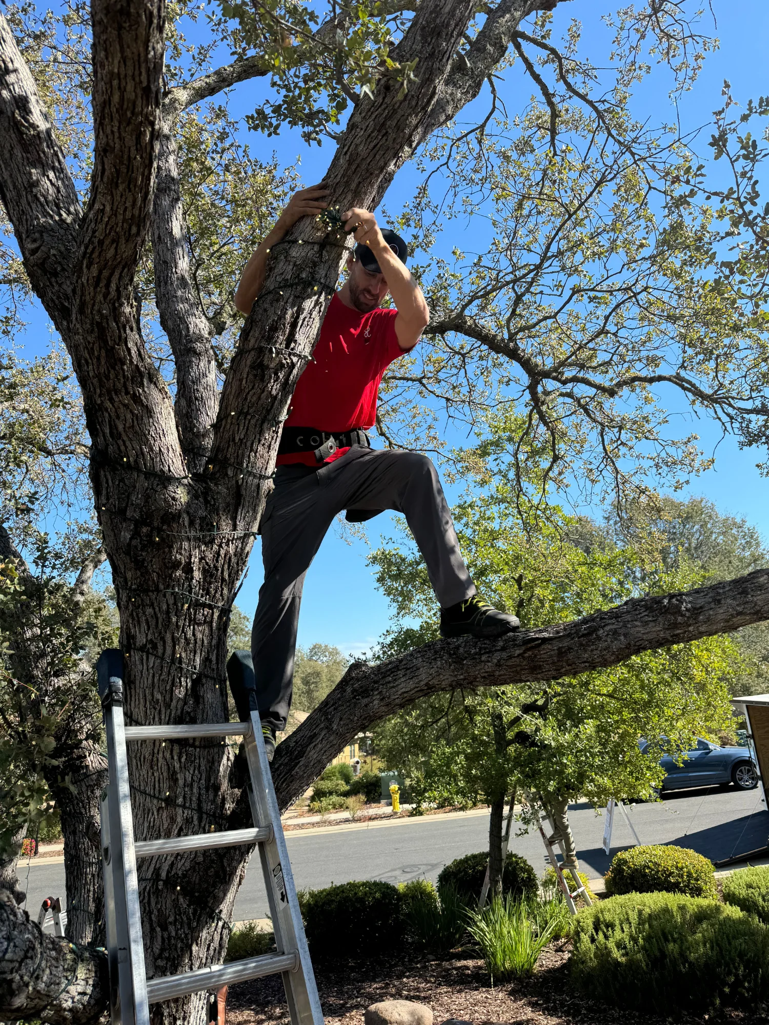 Professional Christmas light installation crew working safely on a Sacramento home roofline