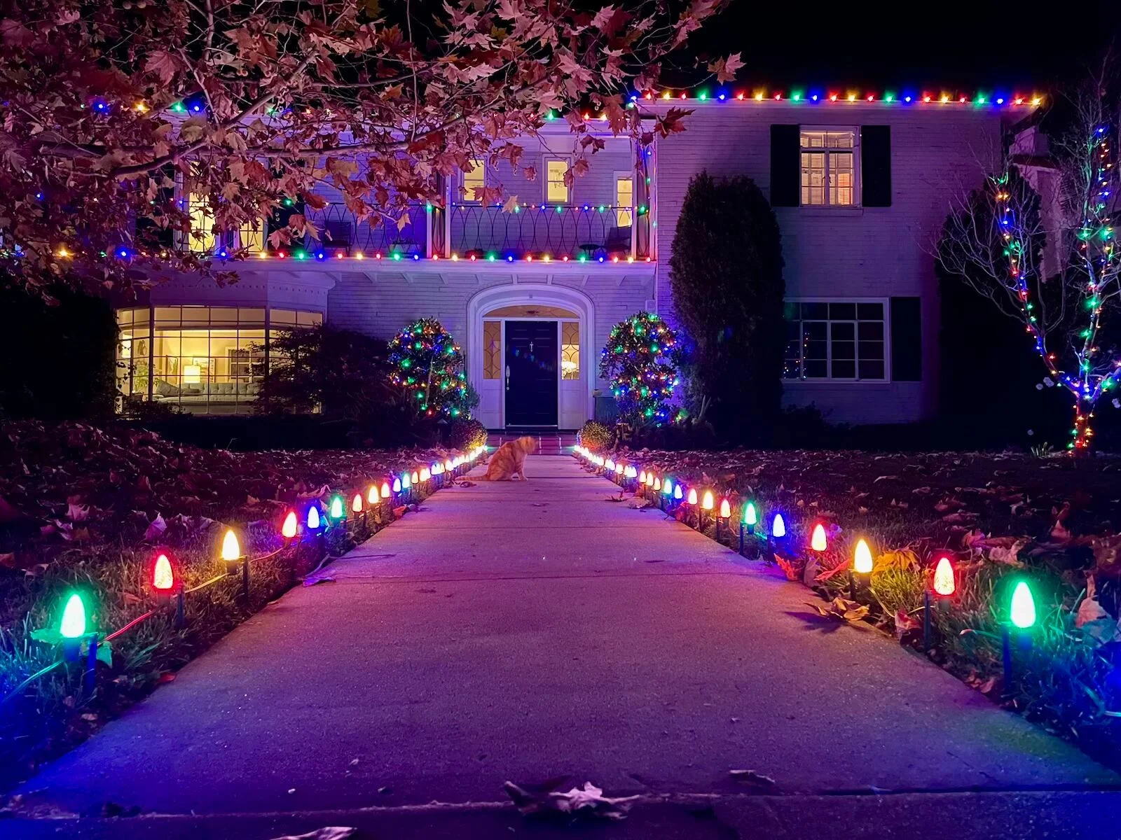 Matched color temperature Christmas lights on roofline and trees of a Sacramento home